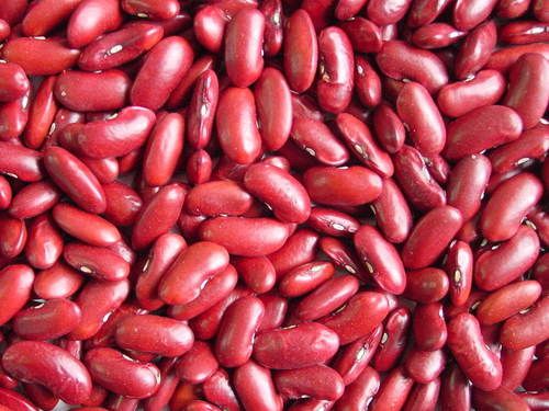 Red Speckled Kidney Beans