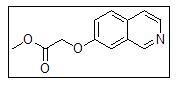 2-(7-Isoquinolinyloxy)-Acetic Acid