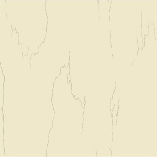 Vitrified Tiles (wv-1002)