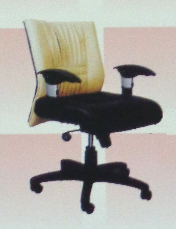 Adjustable Computer Chairs (DI 215)