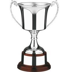 Silver Trophy Cup