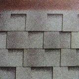 Asphalt Shingles