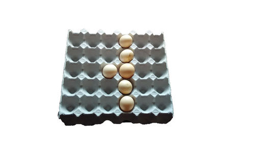 Reliable Egg Tray