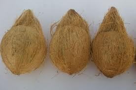 Semi-Husked Coconut