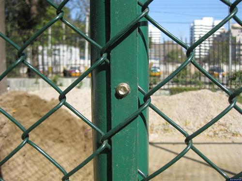 Chainlink PVC Green Coated Fencing (With Or Without Galvanized ISO 9001)