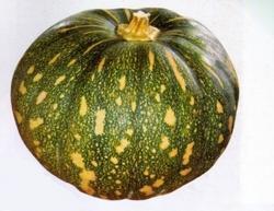 Pumpkin - Fresh and Nutritious, Ideal for Diverse Culinary Dishes