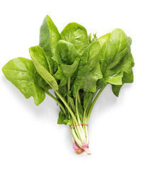 Spinach Leaves - Fresh, Clean Green Quality | Highly Nutritious & Rich in Antioxidants