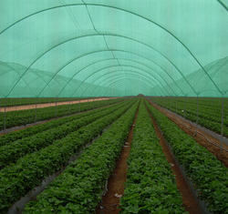 agro shade net