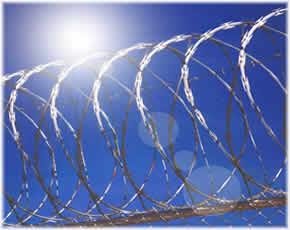Cross Concertina Wire Fence
