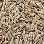 Cumin Seeds