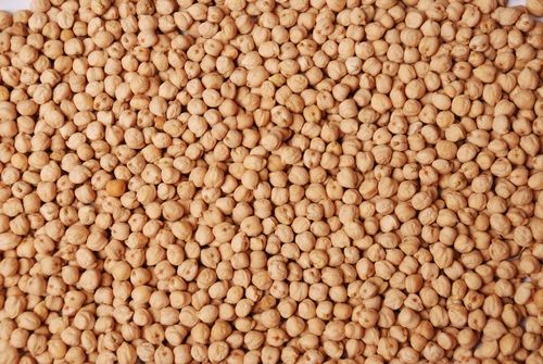 Chick Peas