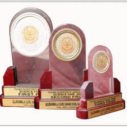 Corporate Designer Acrylic Trophies