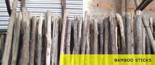 Bamboo Sticks Rental Services