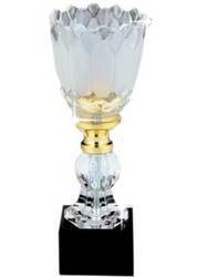 Cut Glass Awards