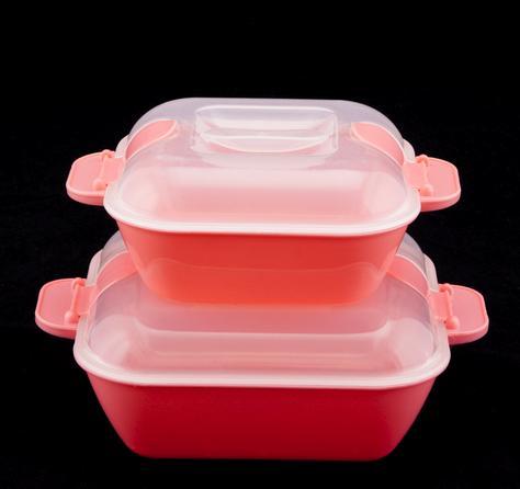 Microwavable Container Set Of 2 (1000 ml + 1500 ml)