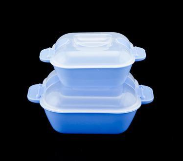 Microwavable Container Set Of 2 (500 ml+1000 ml)