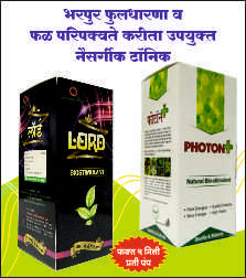 Photon Plus Fertilizer
