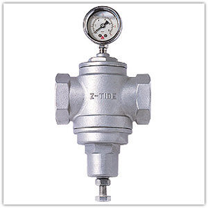 Back Pressure Valve