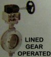 Lined Gear Operated Valves