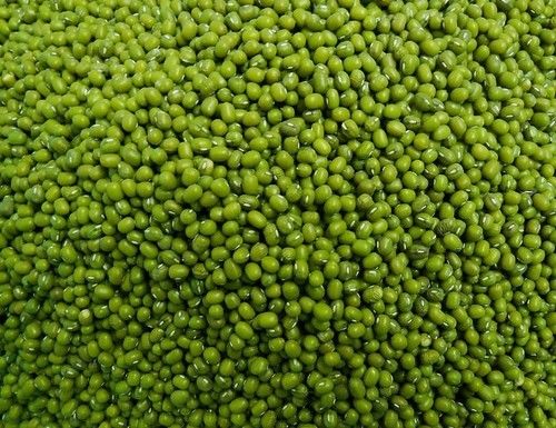 Green Mung Bean