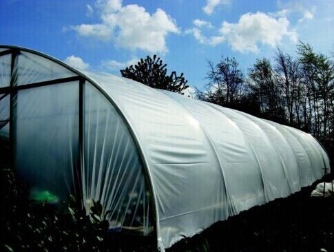 Greenhouse Film