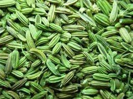 Fennel Seeds