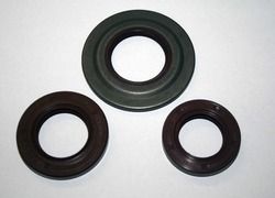 Viton Rubber Oil Seal