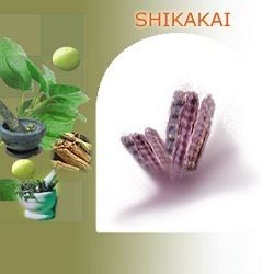 Shikakai Herbs