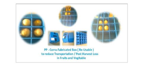 Plastic Transportation Box for F And V