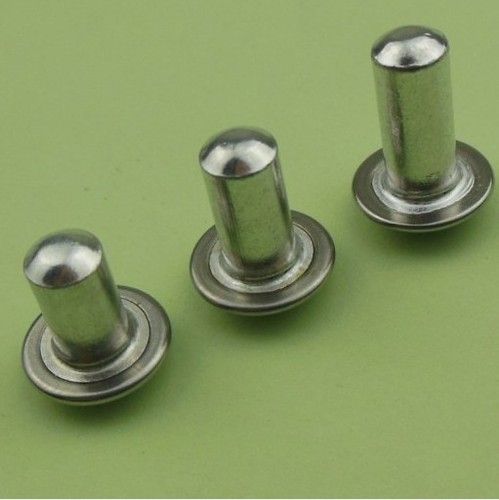 Stainless Steel Cap Rivets