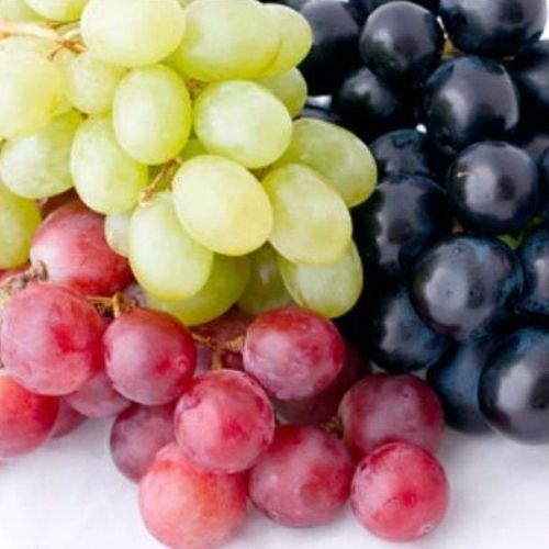 Indian Grapes