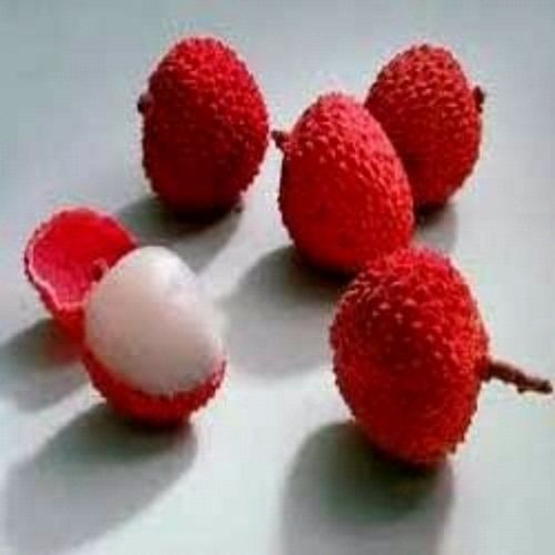 Indian Litchi