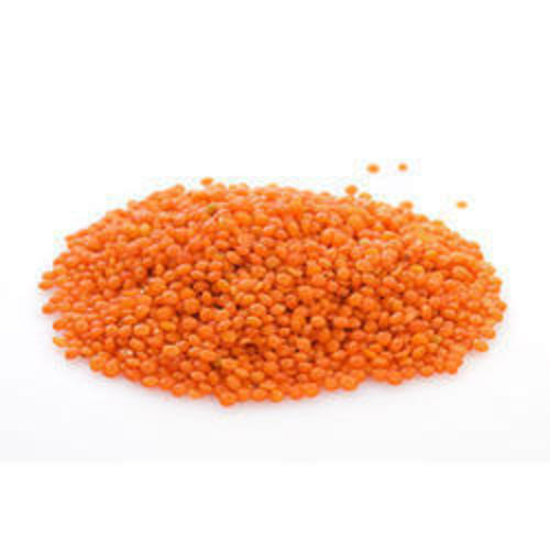 Yellow Red Lentil