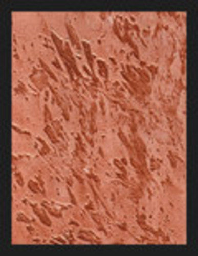 Red Textured Wall Paint