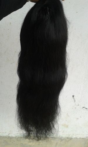 Remy Human Hair Ladies Wigs