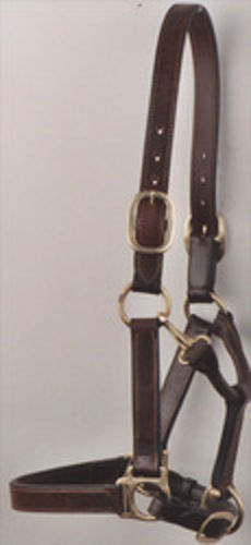 Strongly Built Leather Halter