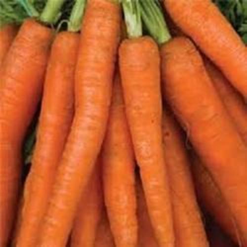 Carrots