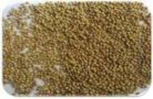 Coriander Seed