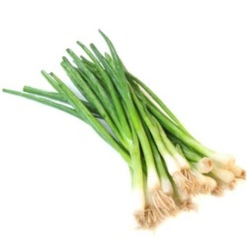 Green Onion Leaves - Naturally Sourced, Chemical-Free Quality | Freshness Guaranteed, Market Leading Price