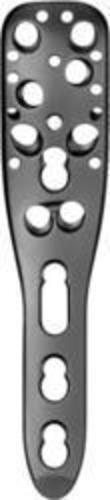 Philos Locking Plate