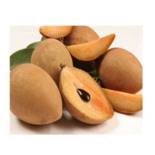 Sapodilla