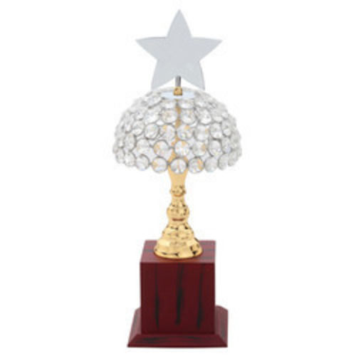 Stylish Metal Trophy