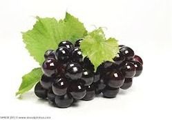 Black Grapes (Sharad Seedless)