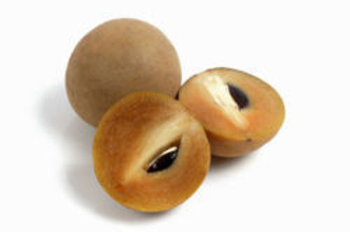 Fresh Sapodilla