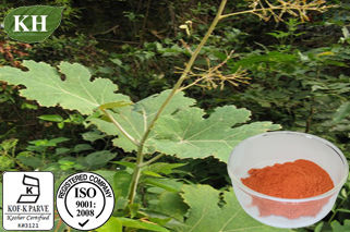 High Quality Macleaya Cordata Extract Sanguinarine 1%-90%