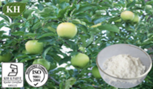 High Quality Natural Apple Root Extract Phloridzin