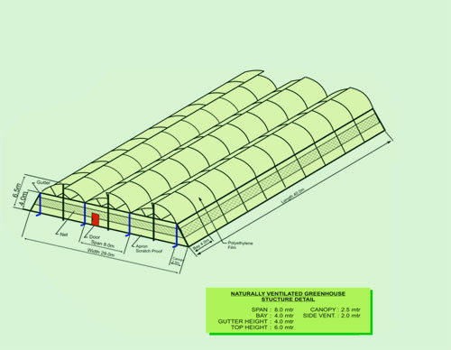 Naturally Ventilated Green House