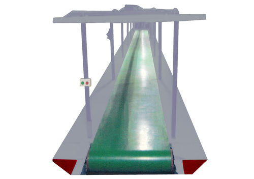 Finishing Belt Conveyor