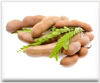 Tamarind Fruit