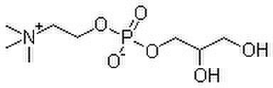 Alpha GPC (Choline Alfoserate)